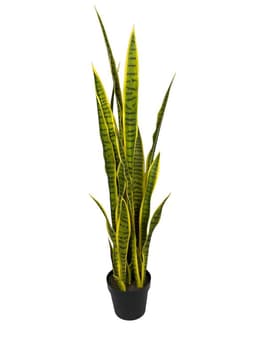 Sanseviera Amarilla de 112cm Artificial - Estilo Natural para Interiores y Vitrinas