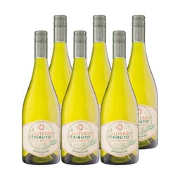 6x Vino Tributo Gran Reserva Sauvignon Blanc 750cc