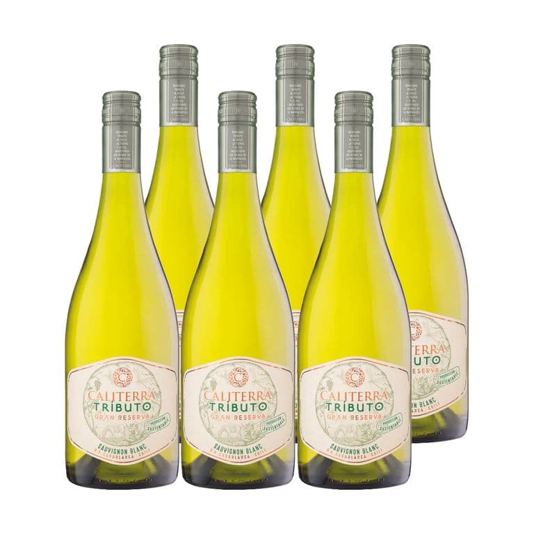 6x Vino Tributo Gran Reserva Sauvignon Blanc 750cc