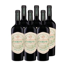 6x Vino Tributo Gran Reserva Cabernet 750cc