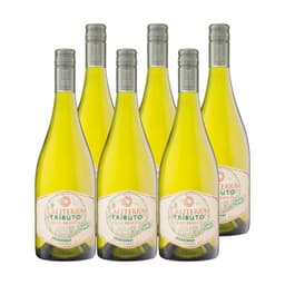 6x Vino Tributo Gran Reserva Chardonnay 750cc