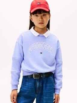 Poleron Varsity Amplio Con Logo Celeste Celeste 4