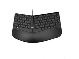 TECLADO ERGONOMICO COPILOT PALM REST USB BLACK ERGO KB-700
