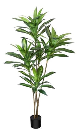 Planta Artificial Dracaena 165 Cm. Premium / Verde