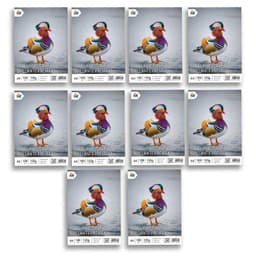 Pack x10 Papel Fotografico A4 135g - 1000 Hojas Brillo