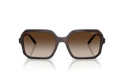 Lentes de Sol Havana Degradados Marron M