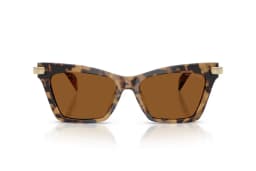 Lentes de Sol Grand Cayman Havana Marron M