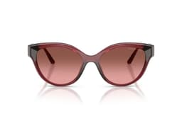 Lentes de Sol Nagoya Rosado Degradados Rosa M