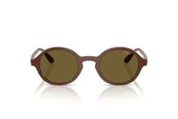 Lentes de Sol Marron Marron M