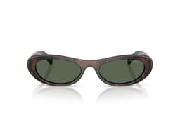 Lentes de Sol Havana Marron M