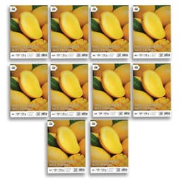 Papel Fotos Mate 130g A4 - 1000 Unidades Acabado Satinado