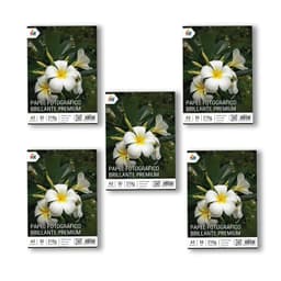 Papel Foto Profesional A3 - 250 Hojas 210gsm Brillo Premium