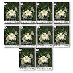 500 Hojas Papel Foto A3 210g - Mayorista Gran Formato