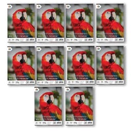 10 Unidades Papel Fotografico A3 - 500 Hojas 180g Glossy Pro