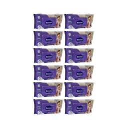 Pack 12 Toallitas Humedas Hipoalergenicas Aloe Vera 70 Unidades c/u , 840 Toallitas,