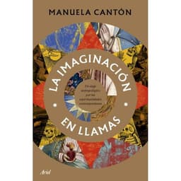 LA IMAGINACION EN LLAMAS