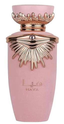 Spray Haya Eau De Parfum para Mujeres 100 ml 100 ML