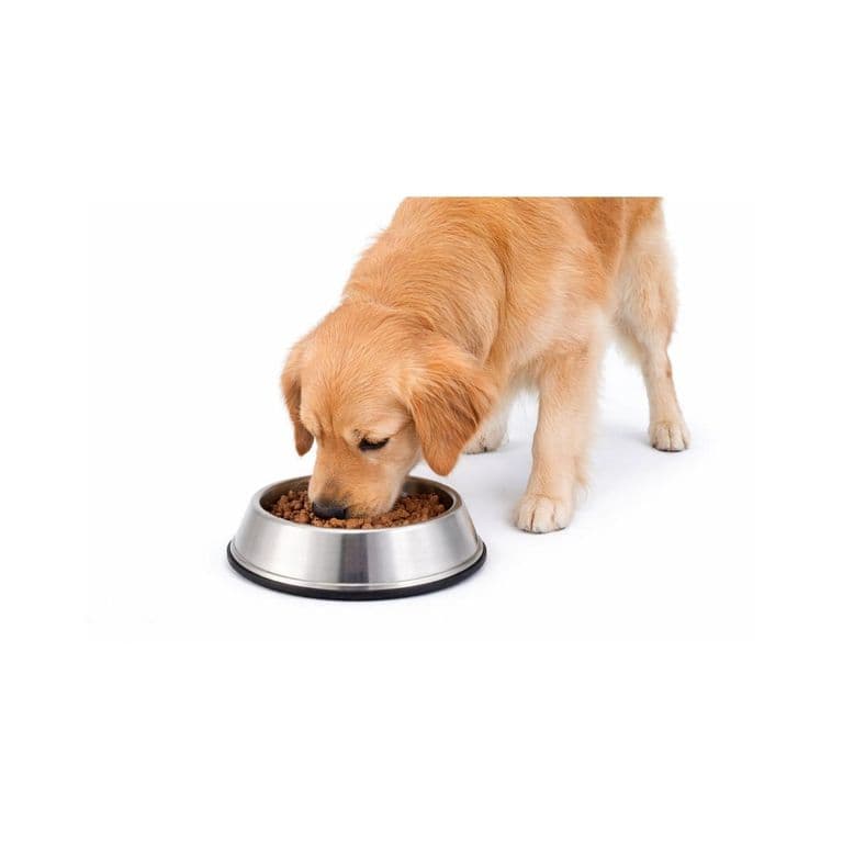 Plato Antihormigas Acero Inoxidable Mascotas L 0.9 L