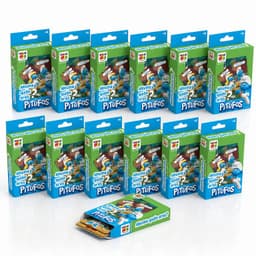 Pack 12 Flash Cards Adivina Quien Eres Los