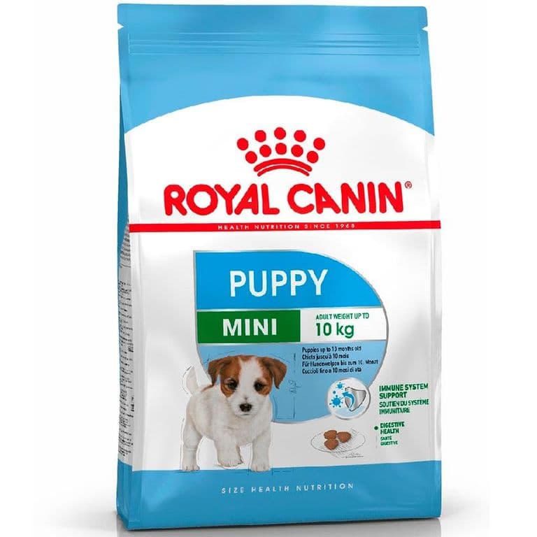 Mini Puppy Perro 7.5 kg