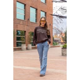 Poleron Regular Manga Larga Mujer Cafe S