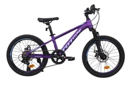 BICICLETA MTB ARO 20 MODELO SAILING MORADO Morado XS