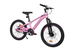 BICICLETA MTB ARO 20 MODELO LYRA ROSADA Rosado XS