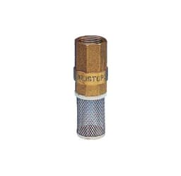Valvula de Pie 2-1/2" Profesional