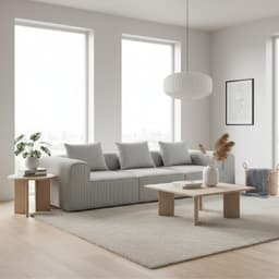 Sofa Loop 3 cuerpos - Espuma Comprimida - 270X75X97 Gris claro G123 Gris claro
