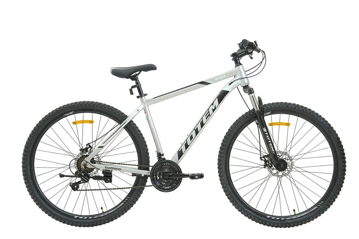 BICICLETA MTB ARO 29*19 MOD W760 COLOR PLATEADO Gris L