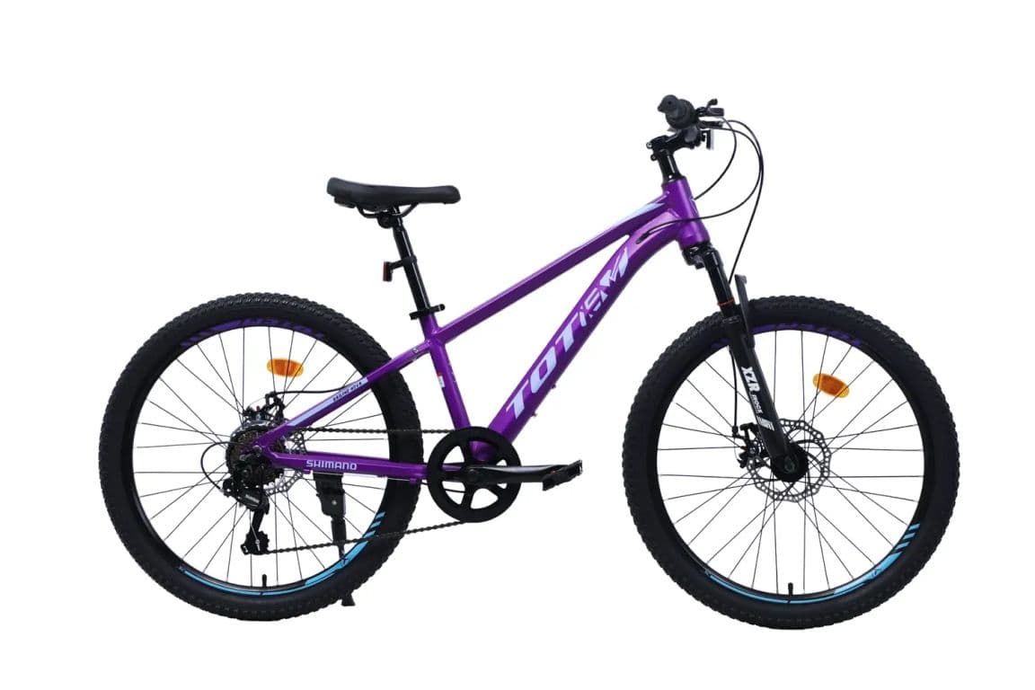 BICICLETA MTB ARO 24 SAILING NOVA COLOR MORADO Morado XS