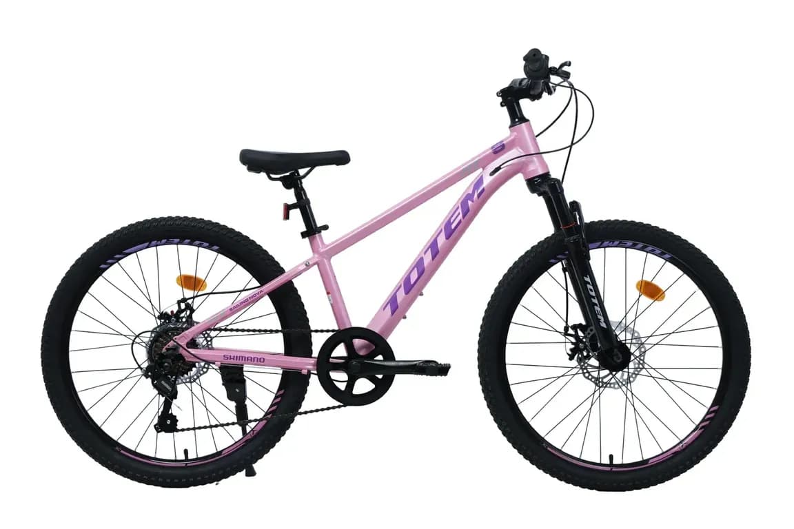 BICICLETA MTB ARO 24 SAILING NOVA COLOR ROSADO Rosado XS