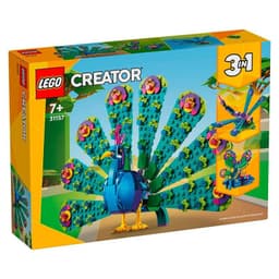 Creator: Pavo Real Exotico
