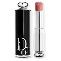 Dior Addict - Barra de labios acabado brillante 250