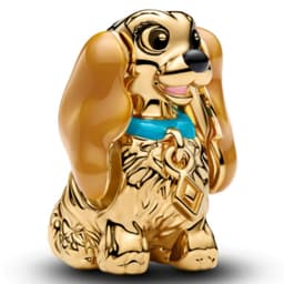 Charm Dama de Disney Mujer
