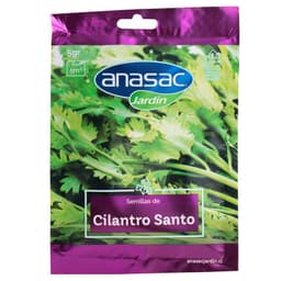 Semilla Aromatica Cilantro Santo 5 gr Sachet