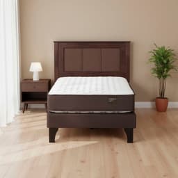 Cama 1.5 Plazas Europea New Ergo T + Respaldo