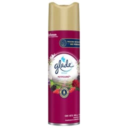 Desodorante Ambiental Glade Aerosol Potpurri 360 ml