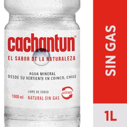 Agua Mineral Sin Gas 1 LT