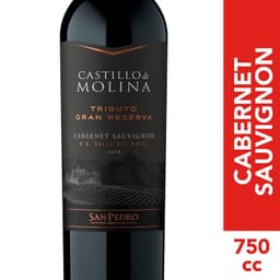 Vino Tinto Cabernet Sauvignon Castillo De Molina 15 750 cc 750 ML