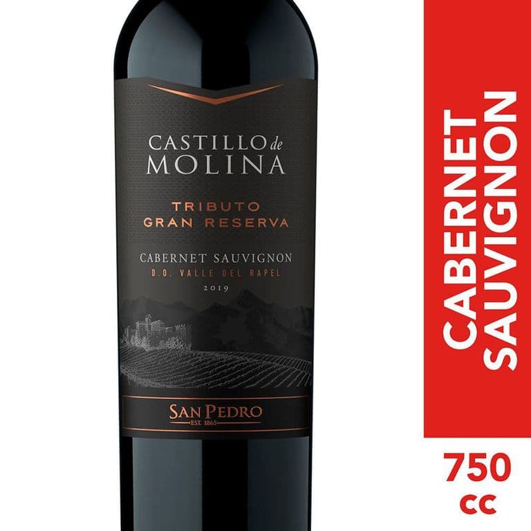 Vino Tinto Cabernet Sauvignon Castillo De Molina 15 750 cc 750 ML