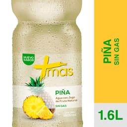 Agua Pina 1.6 LT