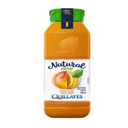 Jugo Mango Blend 900 ml