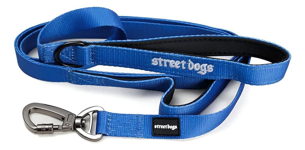 Correa De Paseo Y Adiestramiento Para Perros Street Dogs 5m Azul 1
