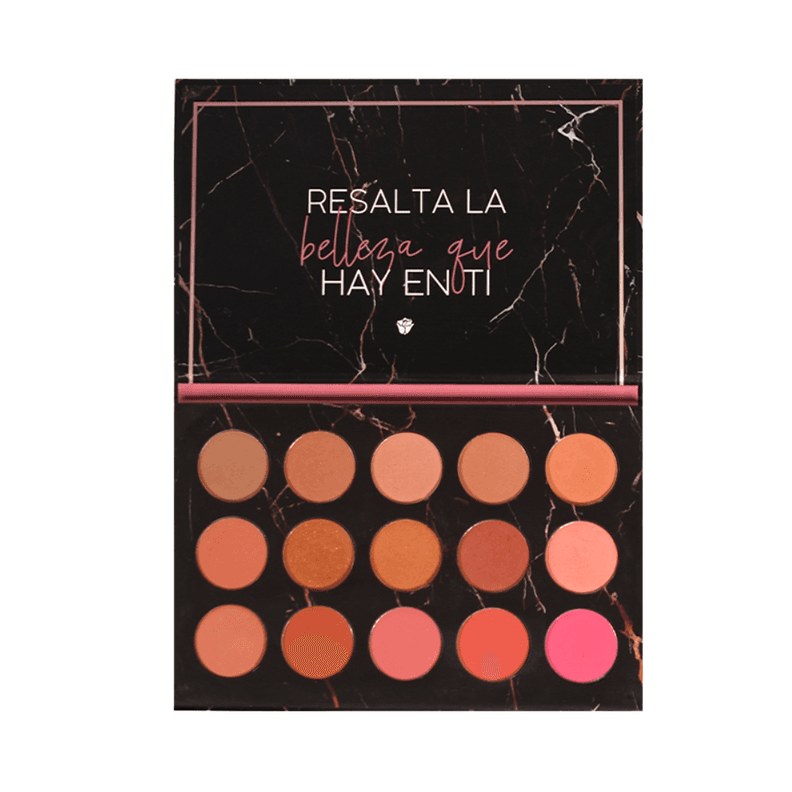 SET PALETA DE RUBORES Y BROCHA PROFESIONAL
