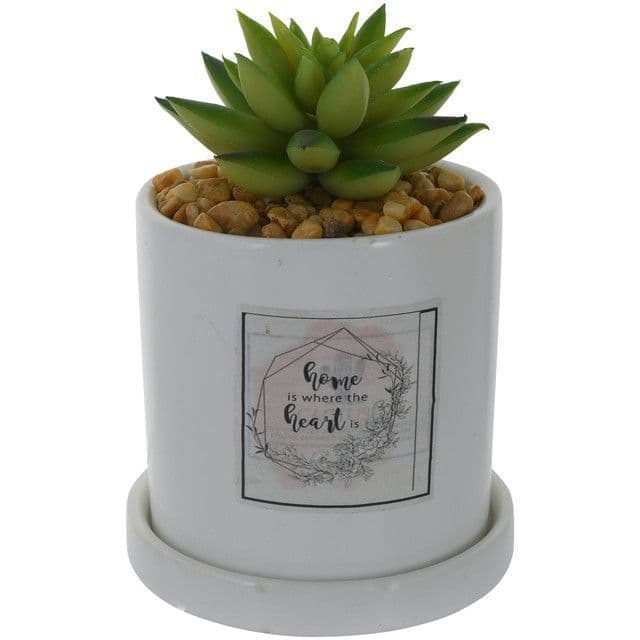Planta Decorativa Home in The Heart Blanco