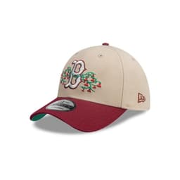 Gorra 9Forty Boston Red Sox MLB City Elements Beige - 60768753