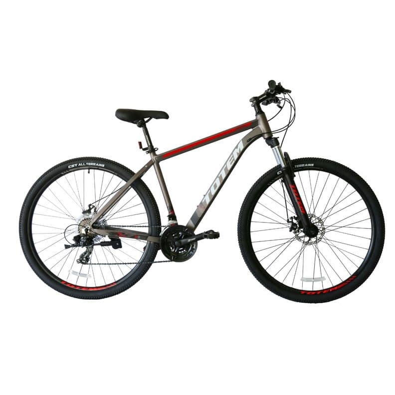 BICICLETA TOTEM MTB ARO 27,5X19 MOD W860 GRIS L