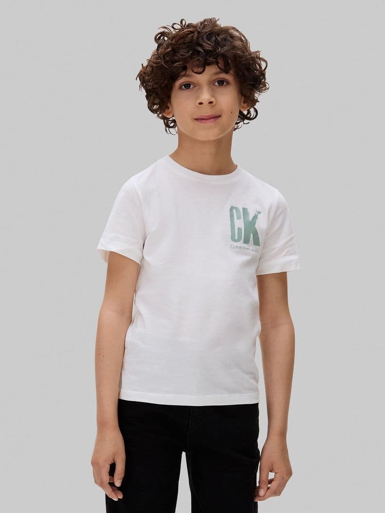 Polera Nino Chest Surf Graphic Blanco Calvin Klein 6