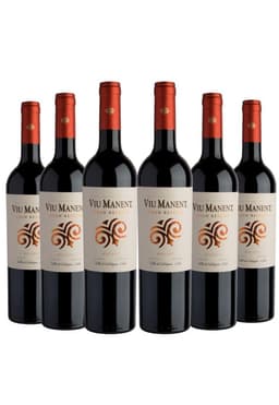 6 Vinos Viu Manent Gran Reserva Malbec Rojo